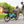 Load image into Gallery viewer, Kit de barrières de sécurité "Clubhouse" Gen4 pour vélo longtail Tern
