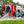 Load image into Gallery viewer, Kit de barrières de sécurité "Clubhouse" Gen4 pour vélo longtail Tern

