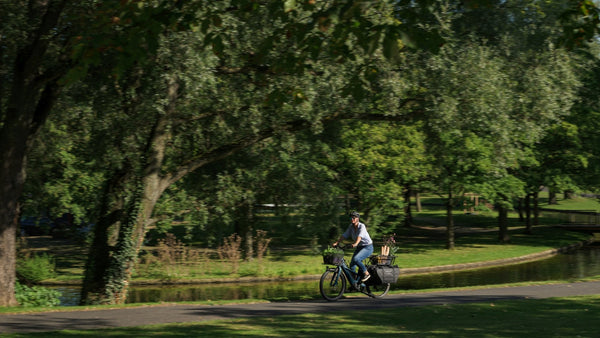 LONGTAIL HYBRID 800 - ROYALGREEN N BLACK