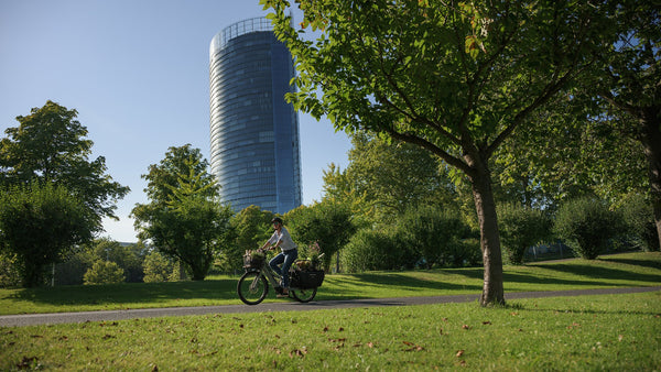 LONGTAIL HYBRID 800 - PEA N REFLEX