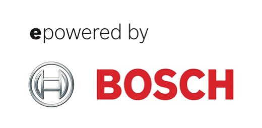 "BIGGIE" COLOR "DELIRIUM-SILVER" ENGINE & BOSCH BATTERY